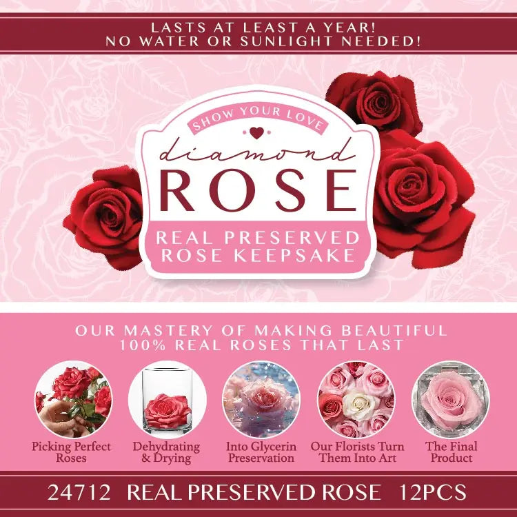 Diamond Real Preserved Rose Keepsake - 12 Pieces Per Retail Ready Display 24712 KIPP BROTHERS