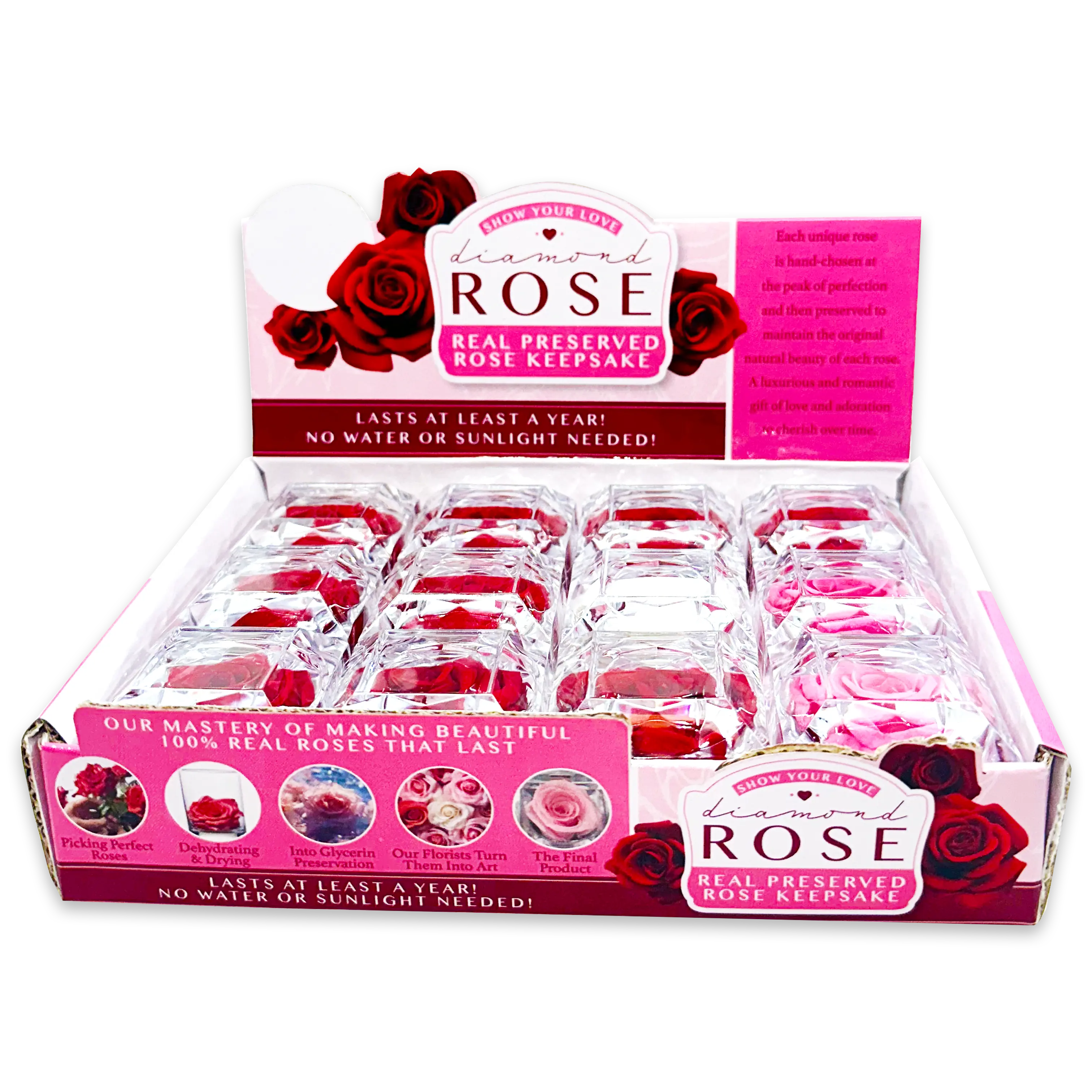 Diamond Real Preserved Rose Keepsake - 12 Pieces Per Retail Ready Display 24712 KIPP BROTHERS