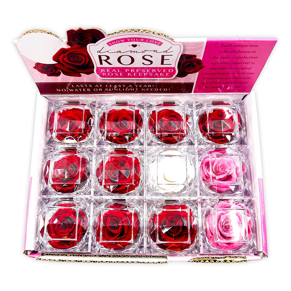 Diamond Real Preserved Rose Keepsake - 12 Pieces Per Retail Ready Display 24712 KIPP BROTHERS
