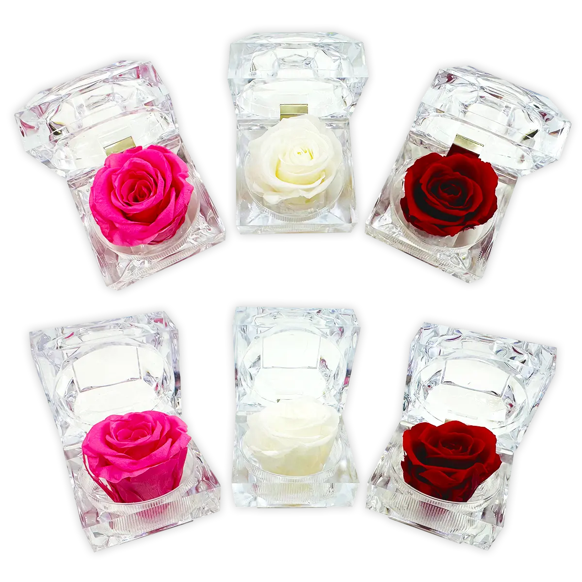 Diamond Real Preserved Rose Keepsake - 12 Pieces Per Retail Ready Display 24712 KIPP BROTHERS