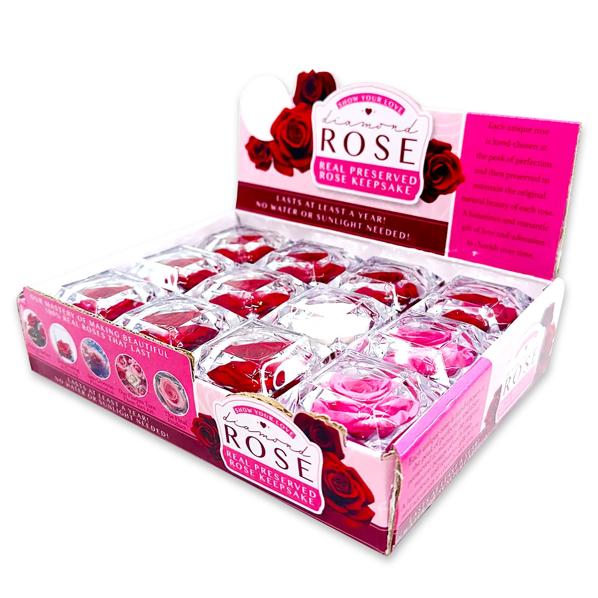 Diamond Real Preserved Rose Keepsake - 12 Pieces Per Retail Ready Display 24712 KIPP BROTHERS