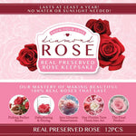 Diamond Real Preserved Rose Keepsake - 12 Pieces Per Retail Ready Display 25074 KIPP BROTHERS