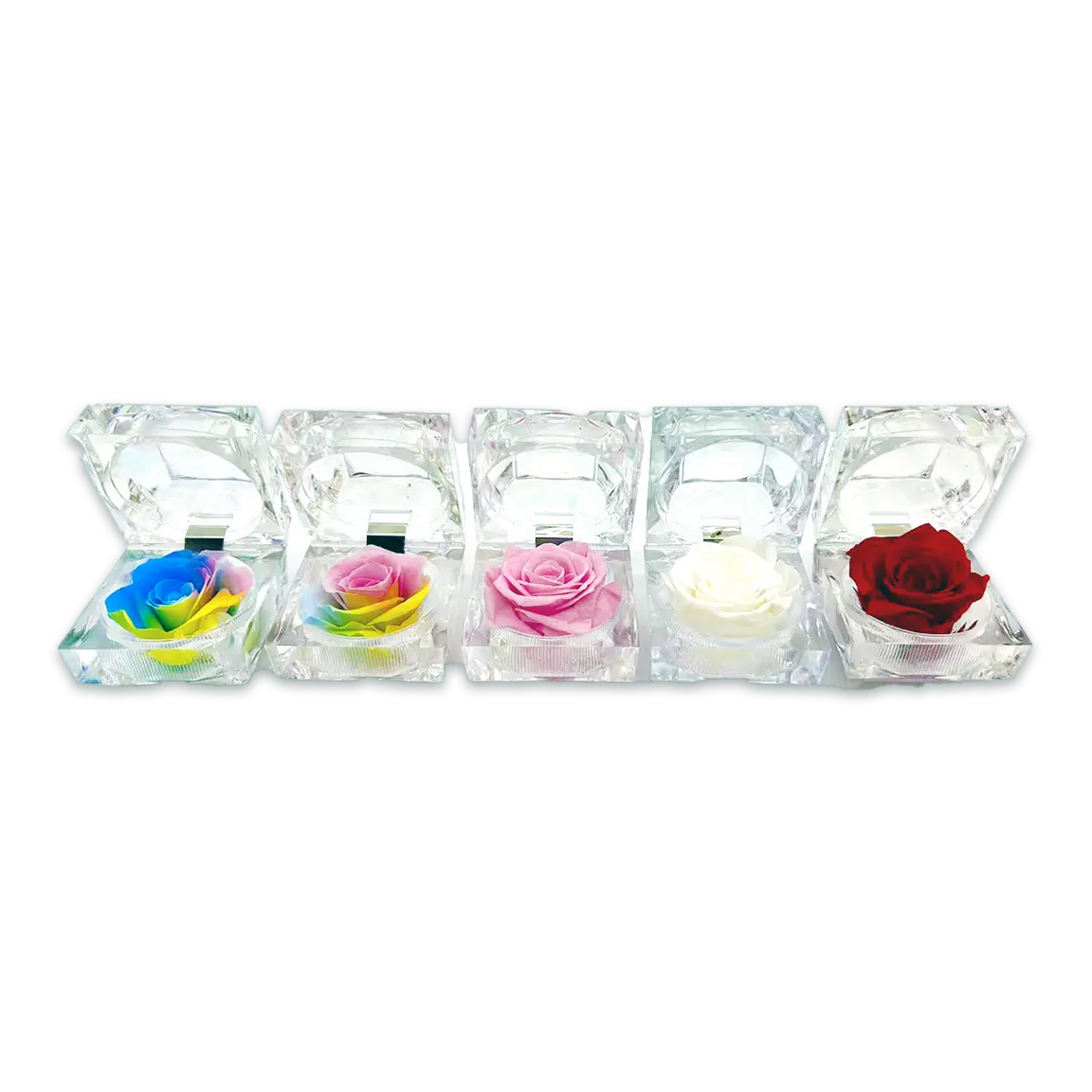 Diamond Real Preserved Rose Keepsake - 12 Pieces Per Retail Ready Display 25074 KIPP BROTHERS