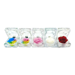 Diamond Real Preserved Rose Keepsake - 12 Pieces Per Retail Ready Display 25074 KIPP BROTHERS
