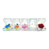 Diamond Real Preserved Rose Keepsake - 12 Pieces Per Retail Ready Display 25074 KIPP BROTHERS