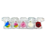Diamond Real Preserved Rose Keepsake - 12 Pieces Per Retail Ready Display 25074 KIPP BROTHERS