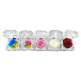 Diamond Real Preserved Rose Keepsake - 12 Pieces Per Retail Ready Display 25074 KIPP BROTHERS