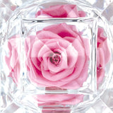 Diamond Real Preserved Rose Keepsake - 12 Pieces Per Retail Ready Display 25074 KIPP BROTHERS