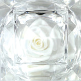 Diamond Real Preserved Rose Keepsake - 12 Pieces Per Retail Ready Display 25074 KIPP BROTHERS