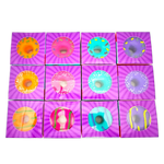 Squish and Squeeze Donut Toy - 12 Pieces Per Retail Ready Display 25083 KIPP BROTHERS
