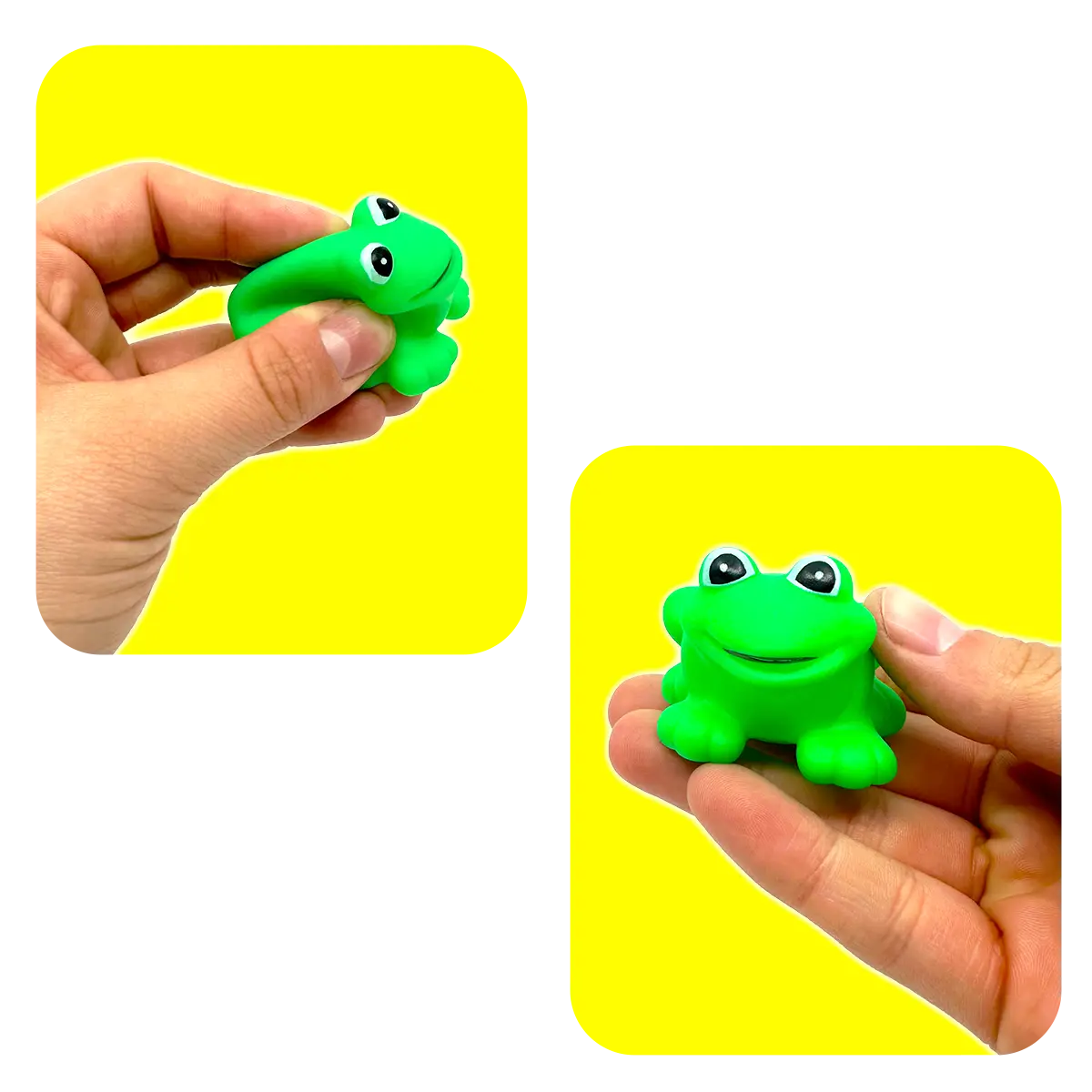Squeaking Frog - 12 Per Retail Ready Display 25109 KIPP BROTHERS