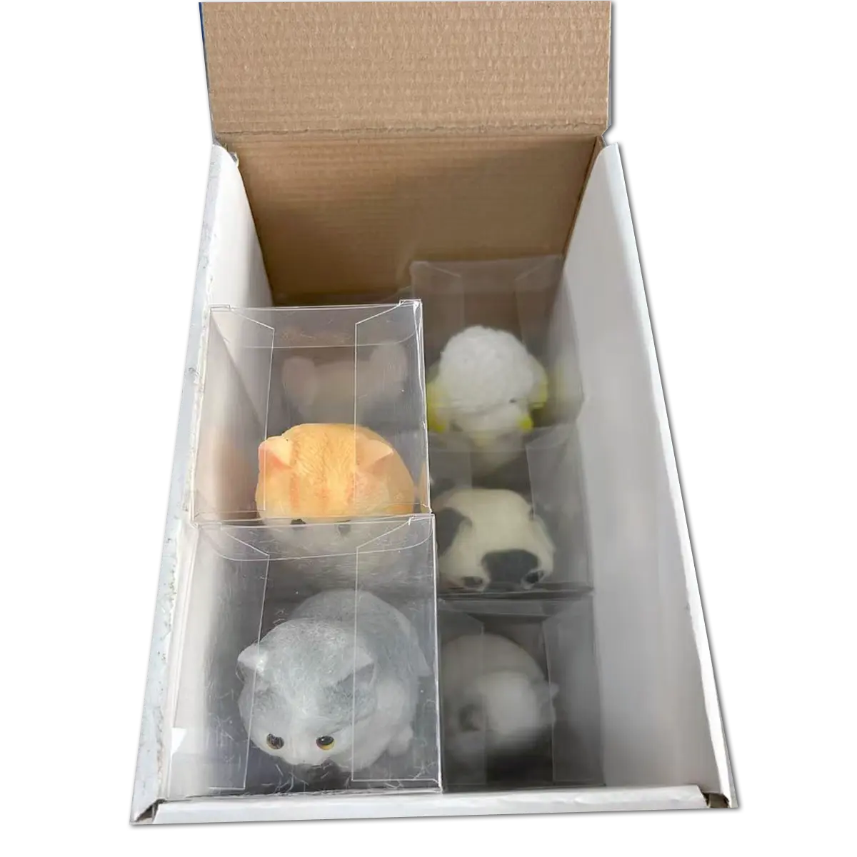 Squishy Pets Keepsake - 12 Pieces Per Retail Ready Display 25820 KIPP BROTHERS