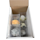Squishy Pets Keepsake - 12 Pieces Per Retail Ready Display 25820 KIPP BROTHERS