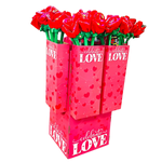 Valentine's Day Plush and Gift Assortment Floor Display - 48 Pieces Per Retail Ready Display 88505 KIPP BROTHERS