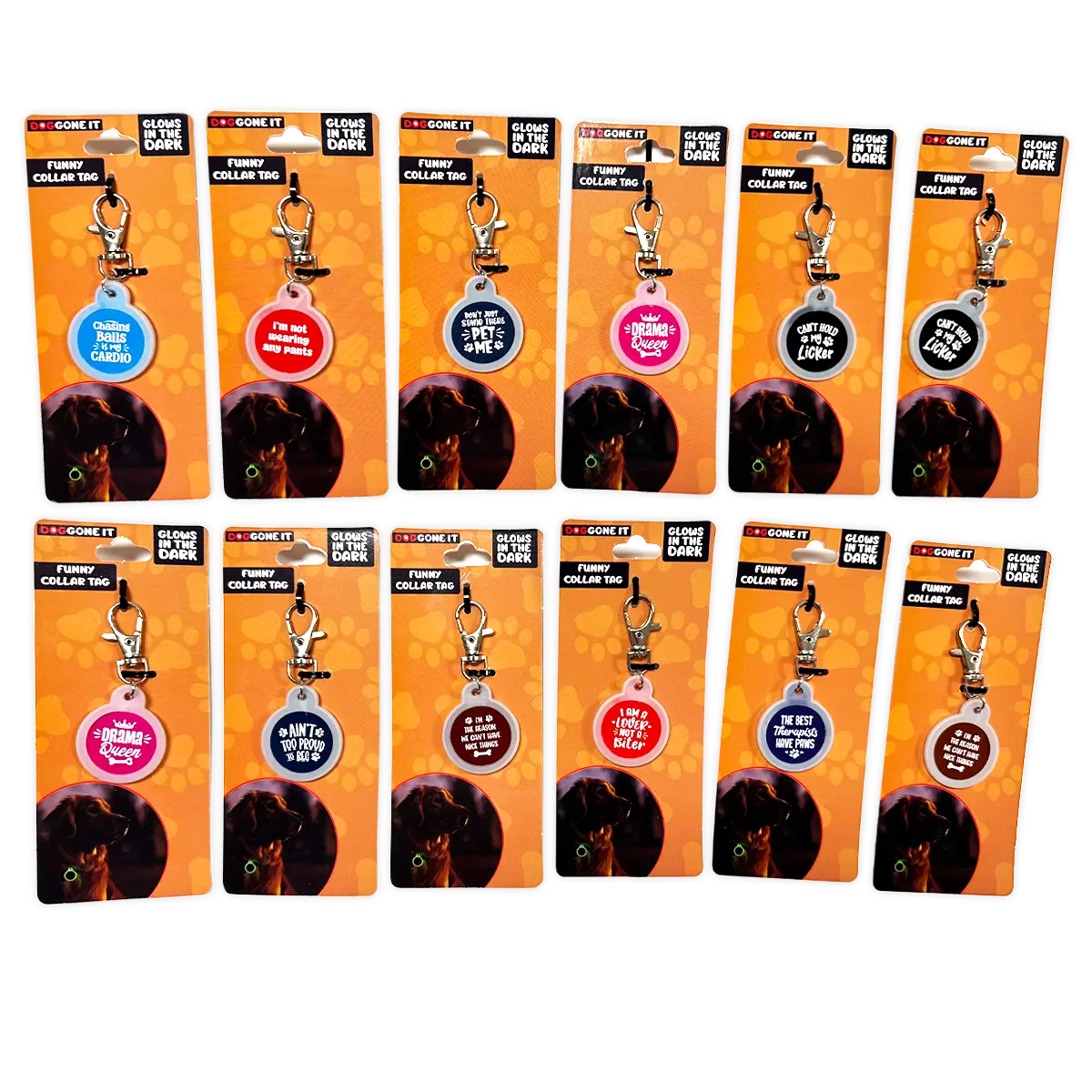 DogGone It Assorted Pet Supplies Floor Display - 42 Pieces Per Retail Ready Display 88600 NOVELTY INC