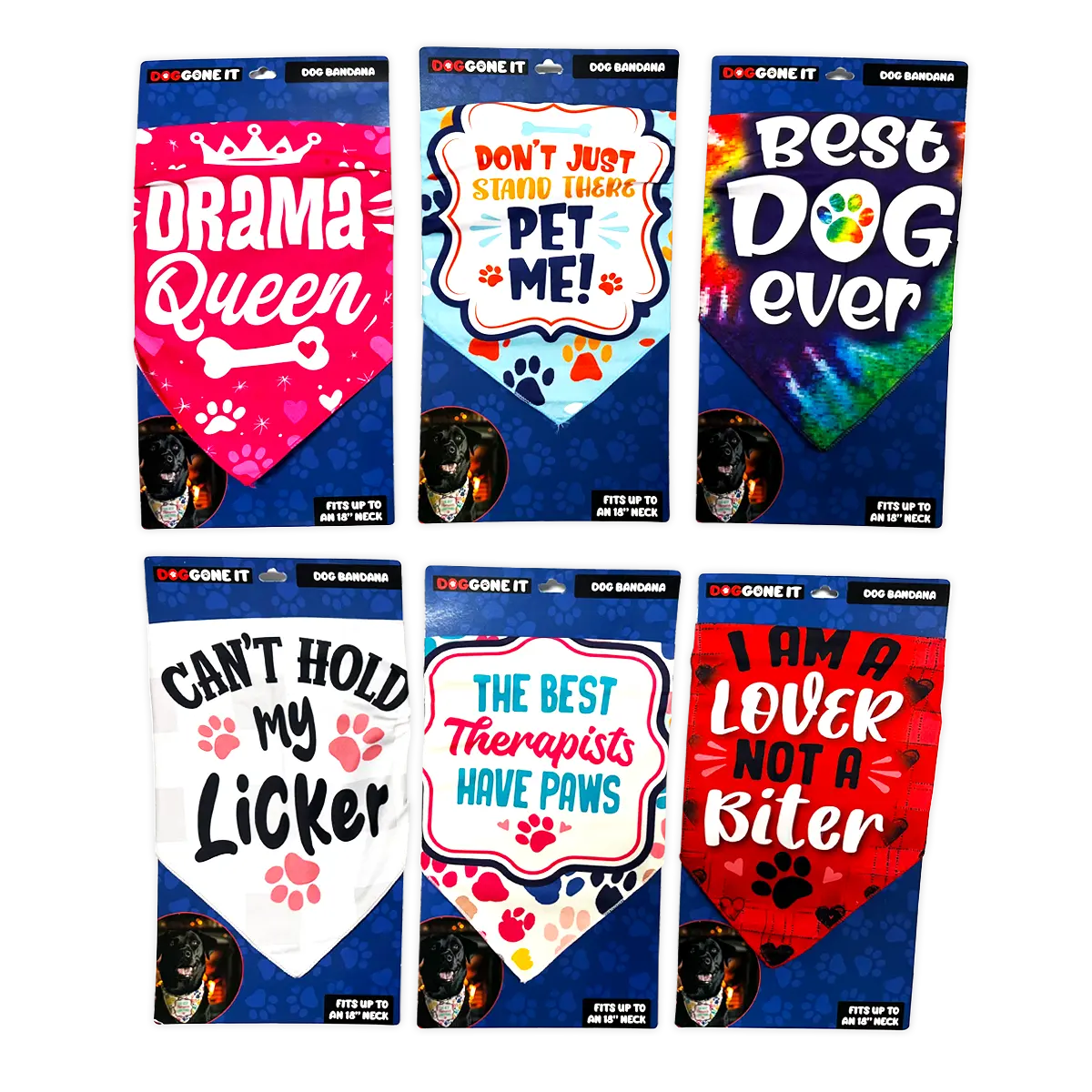 DogGone It Assorted Pet Supplies Floor Display - 42 Pieces Per Retail Ready Display 88600 NOVELTY INC