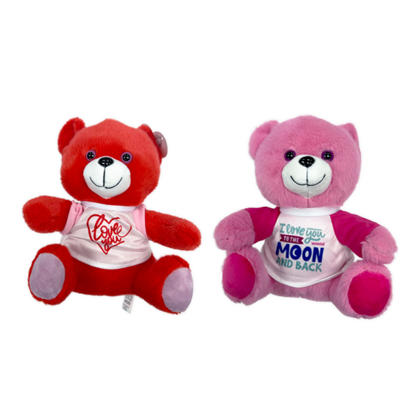 Valentines Day Glass Plush and Gift Assortment Floor Display - 56 Pieces Per Retail Ready Display Kit 88616 NOVELTY INC