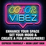 Neon Sign Assortment Floor Display (Sheetz Exclusive) - 17 Pieces Per Retail Ready Display 88455 NOVELTY INC